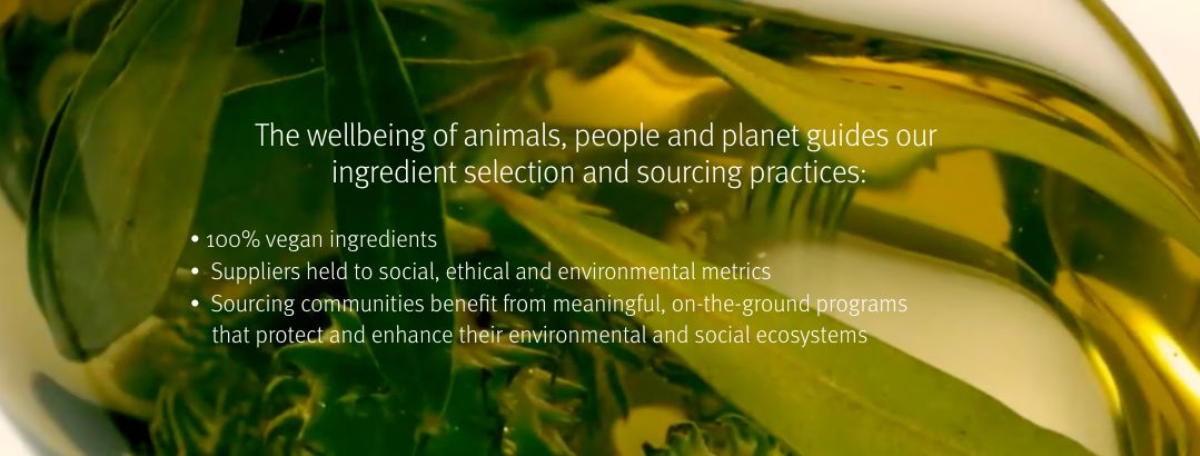 Aveda's Commitment to Sustainability - Our Planet's Wellbeing